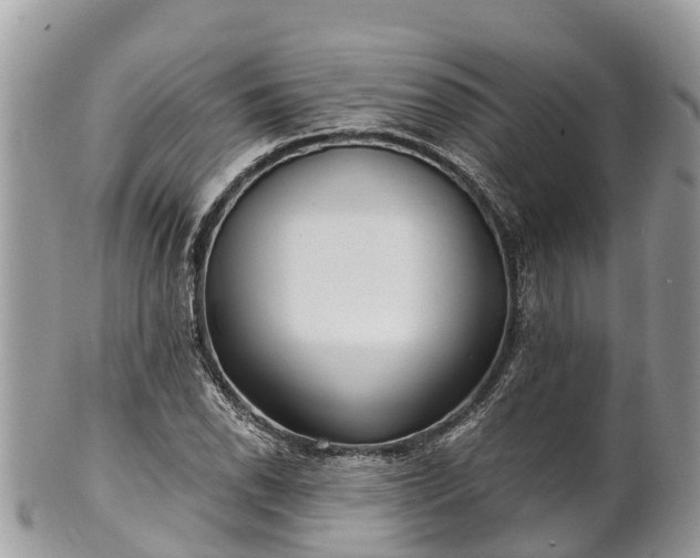 X0000101181118200807071238