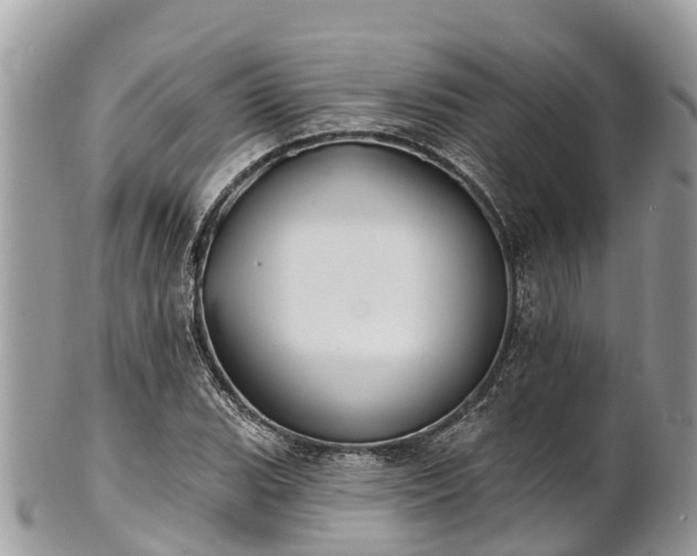 X0000101181119200807071238