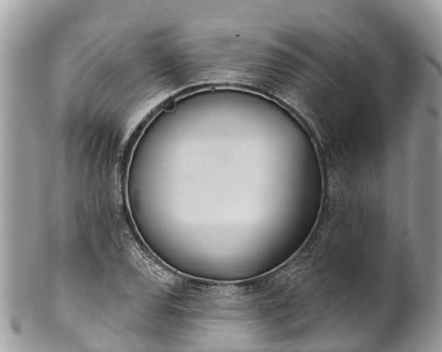 X0000101181120200807071238