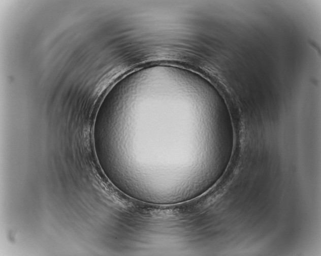 X0000101181121200807071238