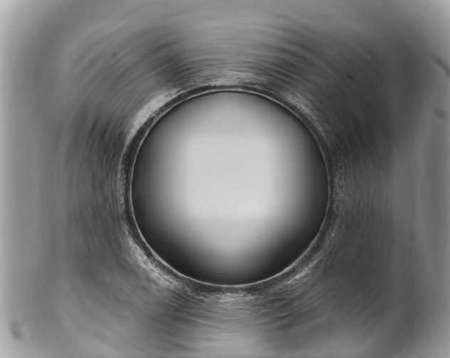 X0000101181122200807071238