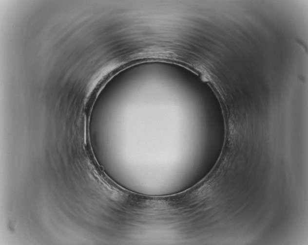 X0000101181123200807071238