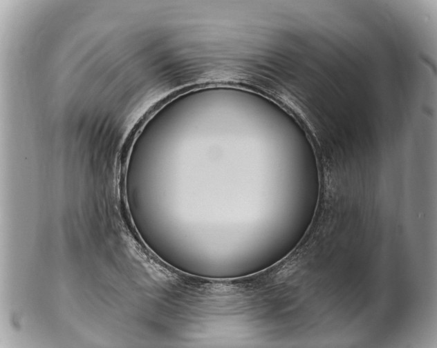 X0000101181124200807071238