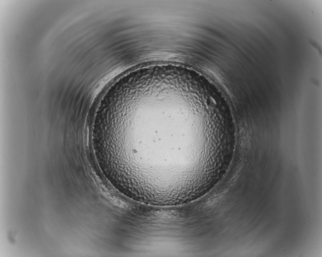 X0000101181125200807071238