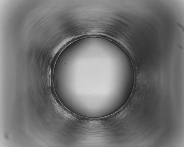 X0000101181126200807071238
