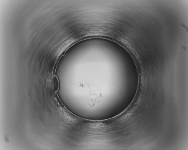 X0000101181129200807071239