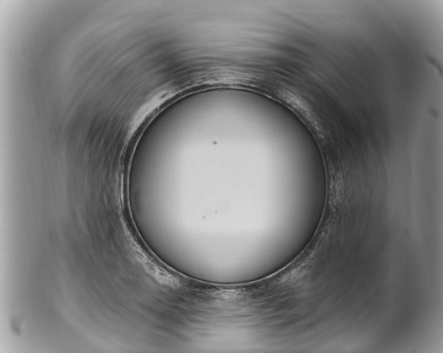 X0000101181130200807071239
