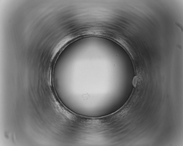X0000101181131200807071239