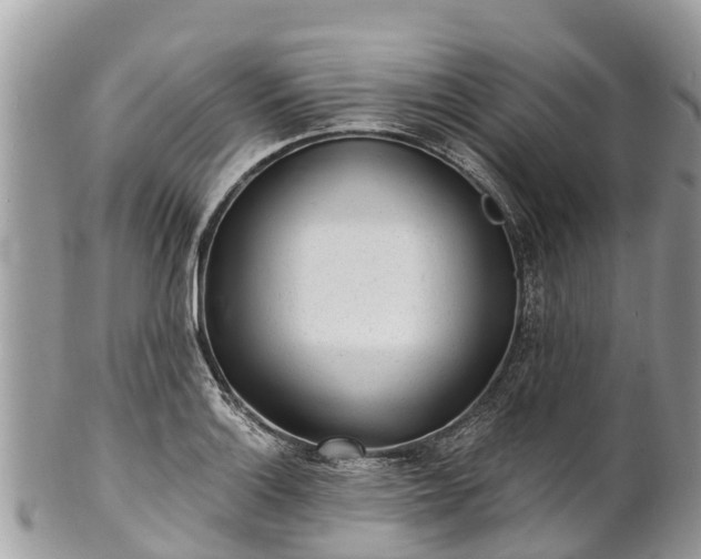 X0000101181132200807071239