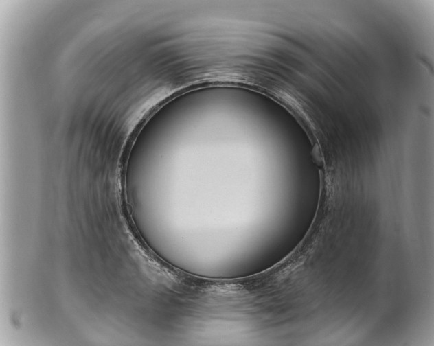 X0000101181133200807071239