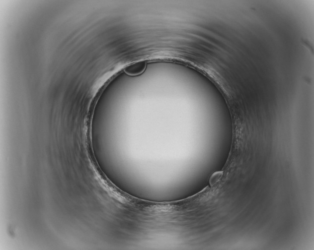 X0000101181134200807071239
