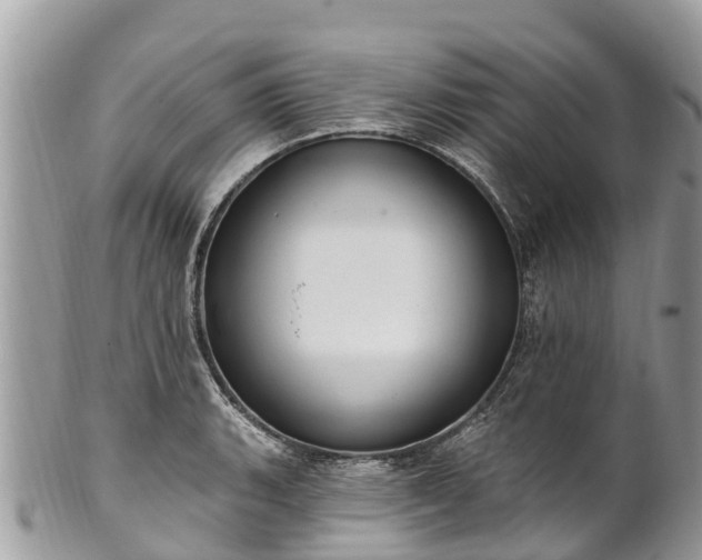 X0000101181135200807071239