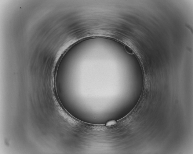 X0000101181136200807071239