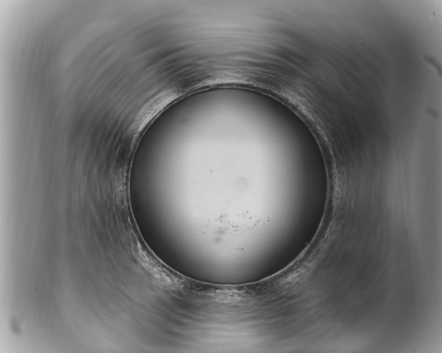 X0000101181137200807071239