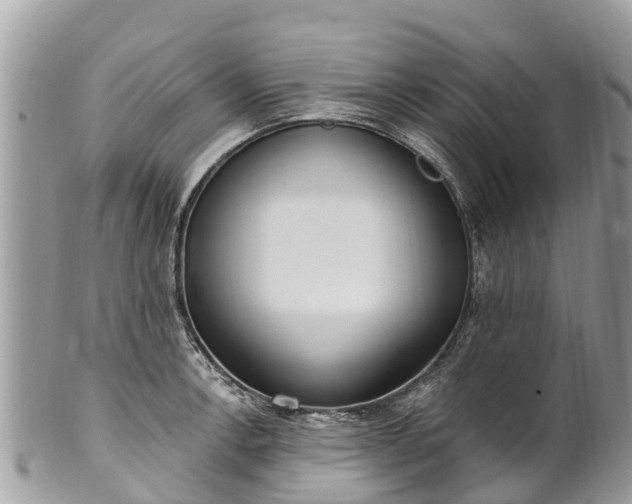 X0000101181138200807071239