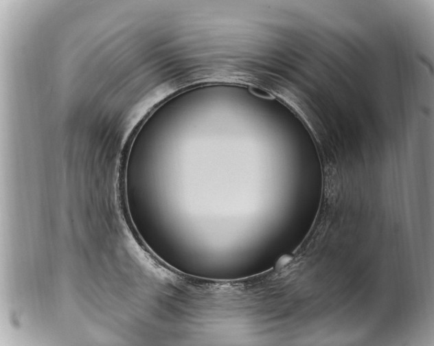 X0000101181139200807071239