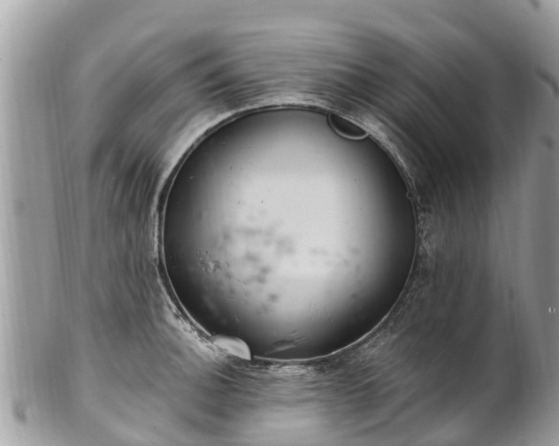 X0000101181140200807071239