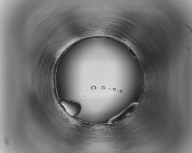 X0000101181142200807071239