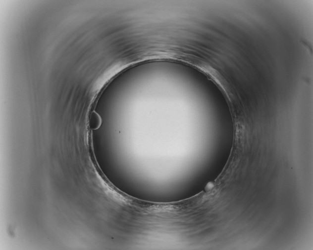 X0000101181143200807071239