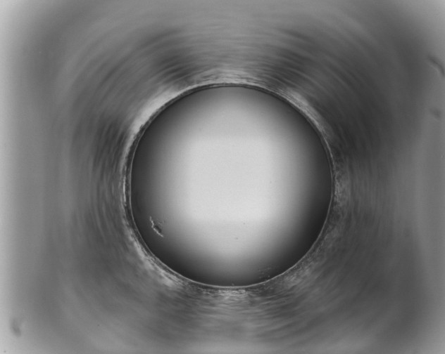 X0000101181144200807071239