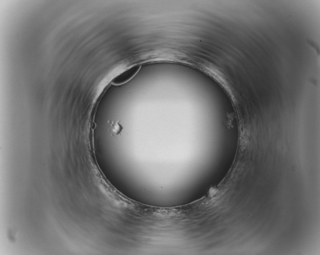 X0000101181146200807071239