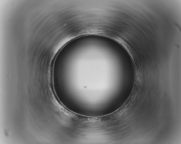 X0000101181147200807071239