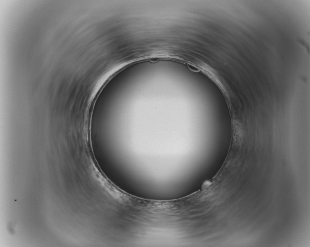 X0000101181148200807071239