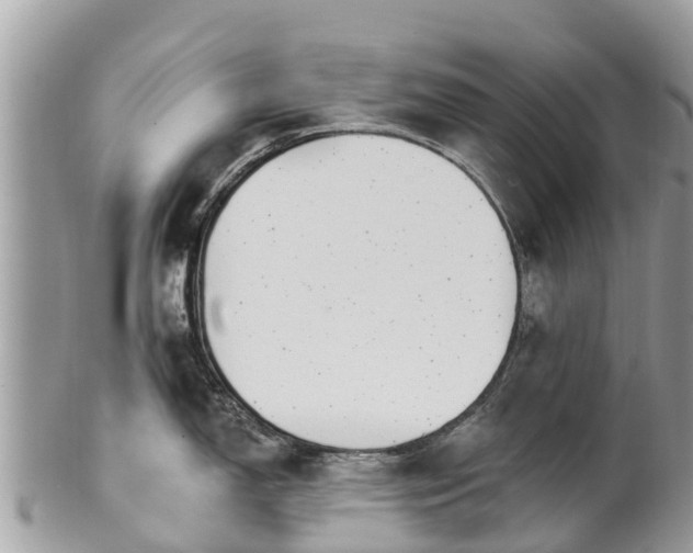 X0000101181150200807071239