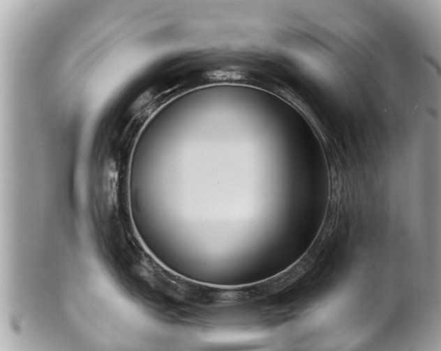 X0000101181151200807071239