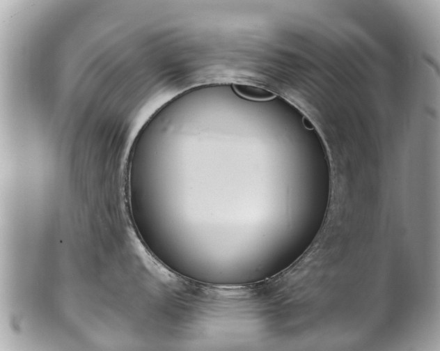 X0000101181152200807071239