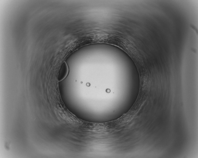 X0000101181153200807071238