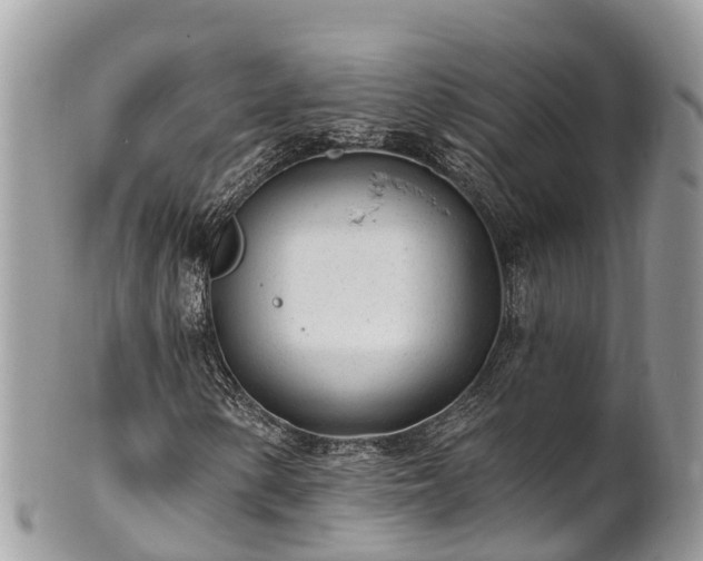 X0000101181154200807071238