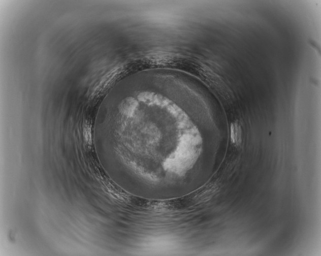 X0000101181155200807071238