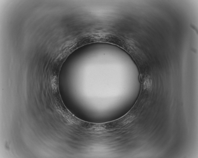 X0000101181156200807071238