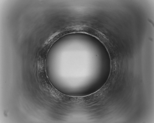 X0000101181158200807071238