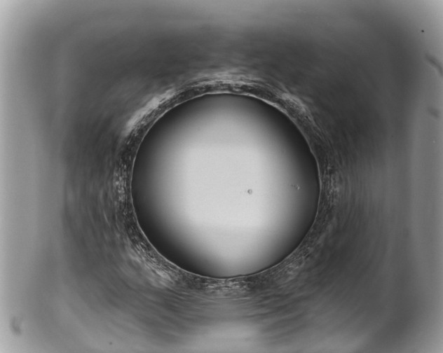 X0000101181159200807071238