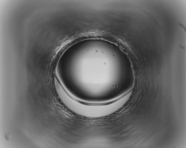 X0000101181160200807071238