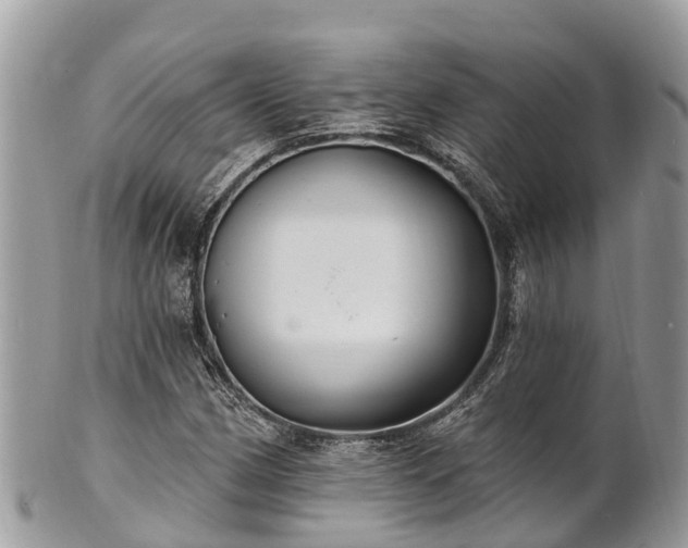 X0000101181162200807071238