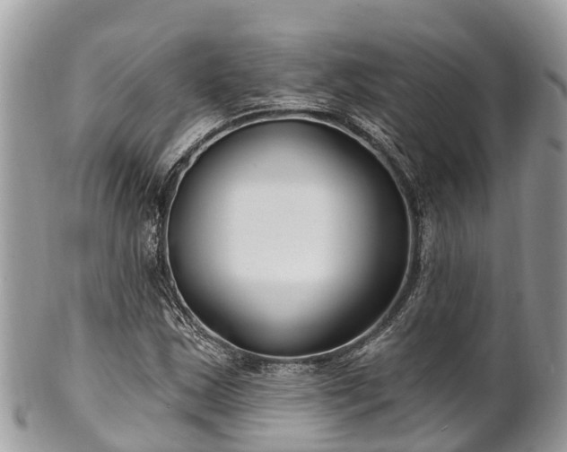 X0000101181163200807071238
