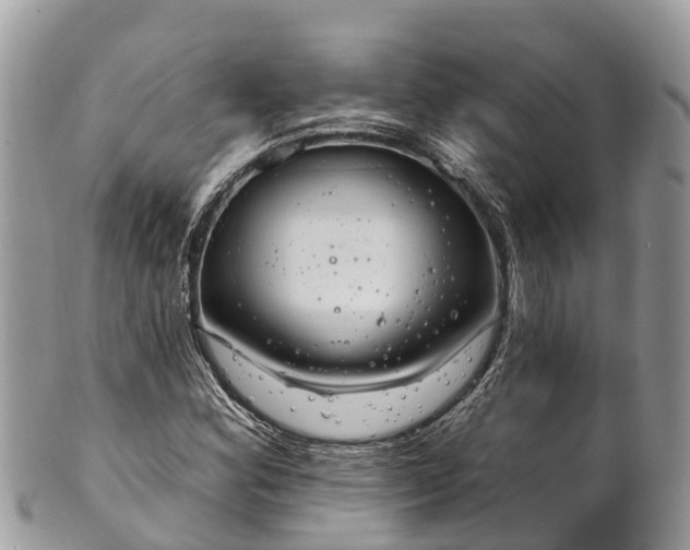 X0000101181164200807071238