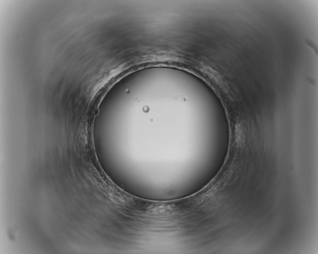 X0000101181165200807071238