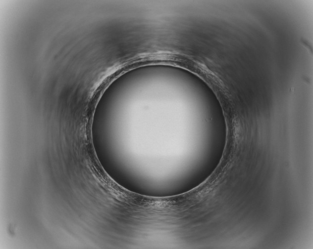 X0000101181166200807071238