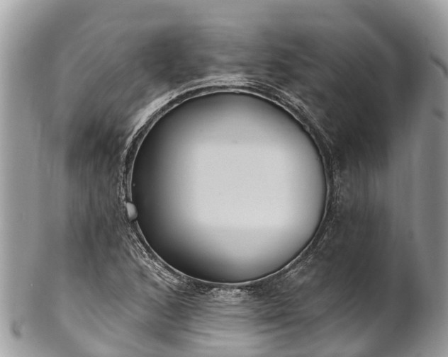 X0000101181168200807071238