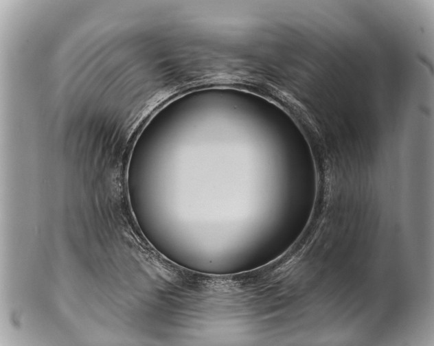 X0000101181170200807071238