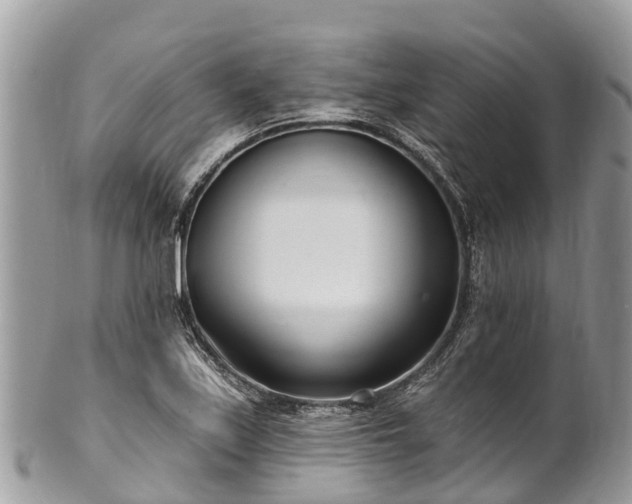X0000101181171200807071238