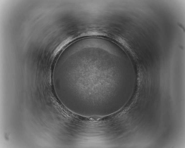 X0000101181173200807071238