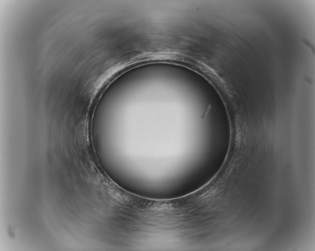 X0000101181174200807071238