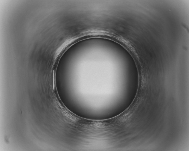 X0000101181175200807071238