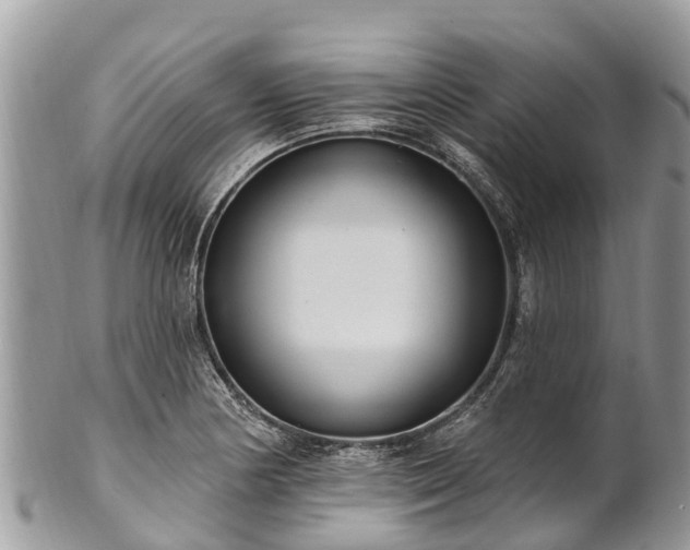 X0000101181178200807071238