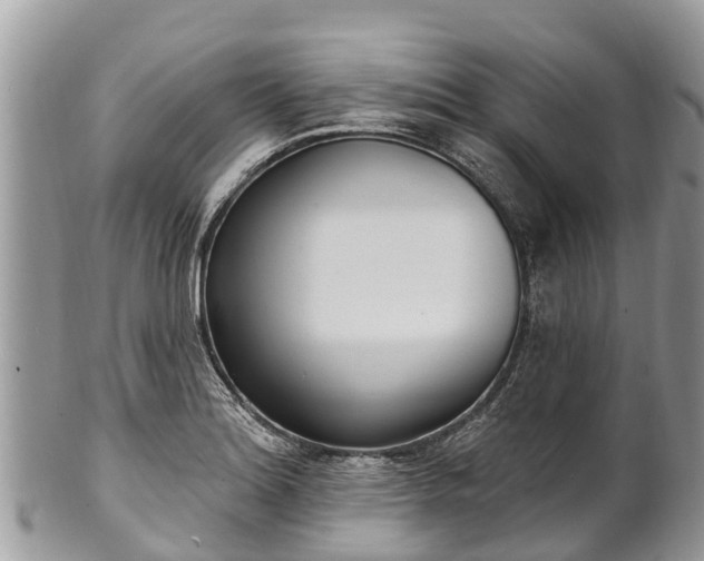 X0000101181180200807071238